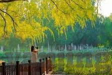 麻豆-传媒app-麻豆传媒app，数字时代的娱乐转型与创新