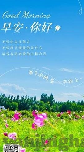 麻豆视频app官网安卓下载-探索未知的乐趣，揭秘麻豆视频app官网的安卓下载体验